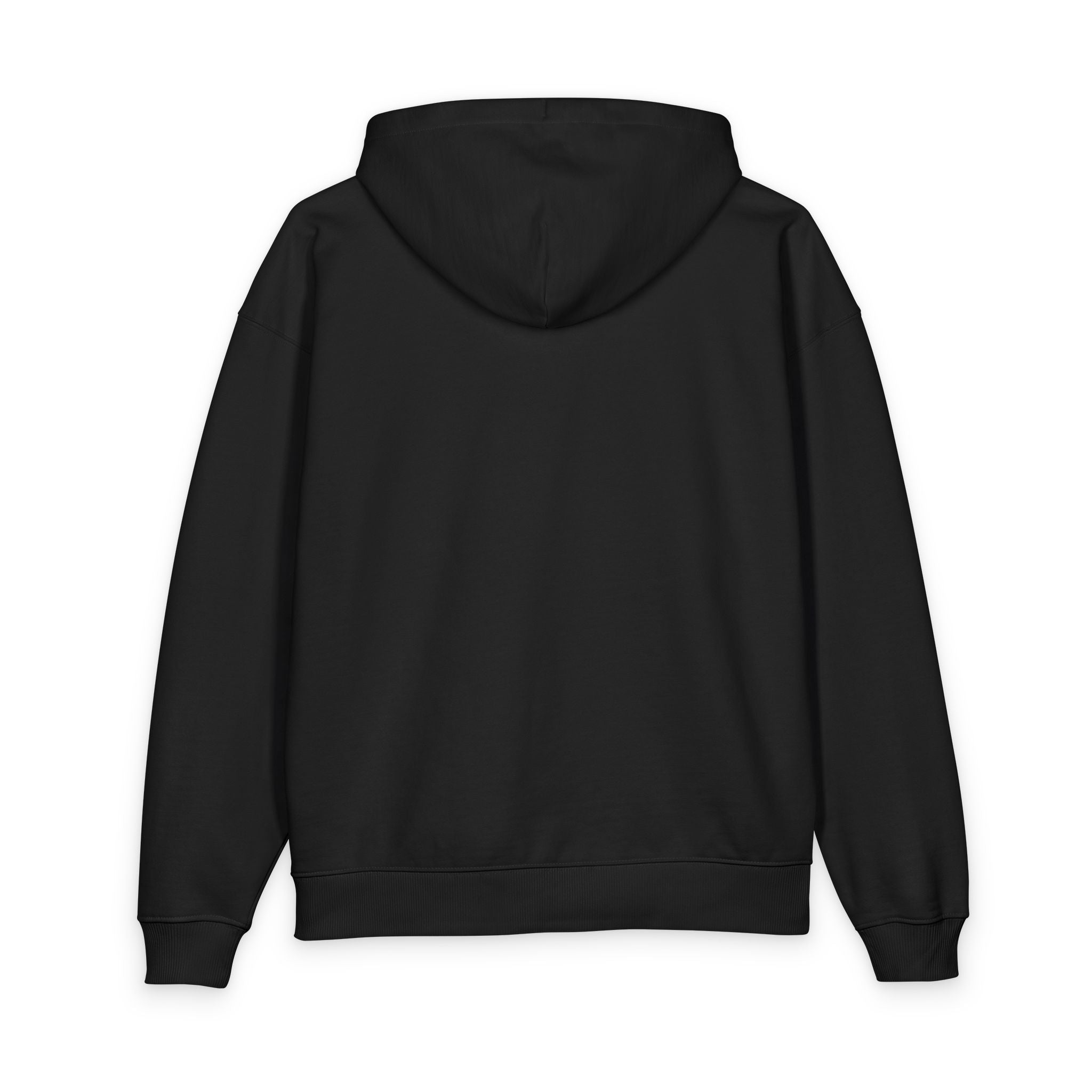 Government = Evil Hooded Sweatshirt